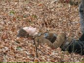 Фотография Полукошко Аллы