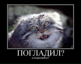 Фотография Хветте Марины