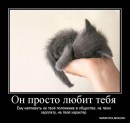 Вікочка Шелемба фотография #46 (источник - https://vk.com/id70260429)