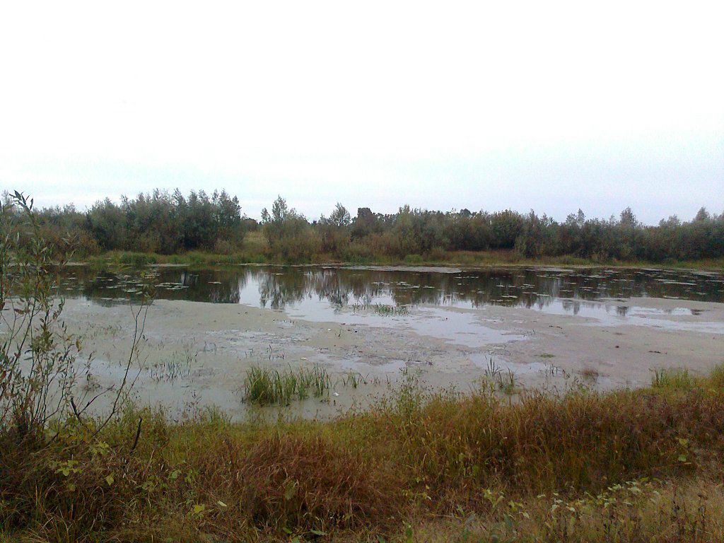 Василий Плотницкий фотография #5