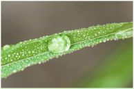 Фотография Лянковской Кристины