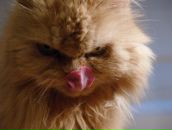 Фотография Лушниковой Маргариты