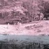 Алинка Іванова фотография #39 (источник - https://vk.com/id164716353)