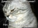 Фотография Кевлич-Белоусовой Ольги