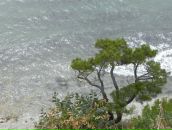 Сергей Иванов фотография #35 (источник - https://vk.com/id585401)