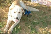 Фотография Бутырина Паши