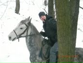 Фотография Кравченко Олега