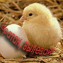 Колян Порфир'єв фотография #50 (источник - https://vk.com/id120104558)