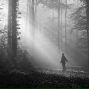 Фотография Шайдуллиной Хавы