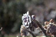 Джейн Эйр фотография #13 (источник - https://vk.com/id440454)