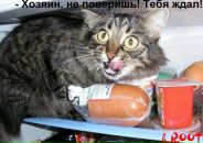 Ольга Світла фотография #36 (источник - https://vk.com/id9191530)