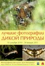 Фотография Метенковы Музея