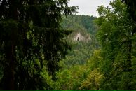 Иван Просоедов фотография #23 (источник - https://vk.com/id12433172)