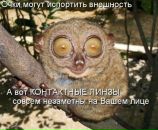 Фотография Полуэктовой Алины