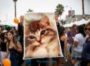 Софія Гепко фотография #15 (источник - https://vk.com/id31809326)