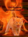 Фотография Сухоруковой Екатерины