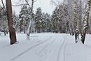 Вікторія Бабука фотография #2 (источник - https://vk.com/id161436299)