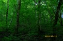 Александр Дорофеев фотография #39 (источник - https://vk.com/id75198683)