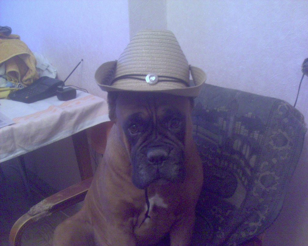 Максим .... фотография #16