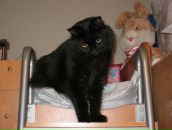 Фотография Коляды Юлии