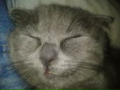 Фотография Тулинова Евгения