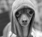 Фотография игнатьева(петрова) марии