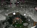 Олексій Жупник фотография #24 (источник - https://vk.com/id111954262)