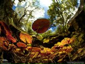 Фотография Игнашёвой Веры