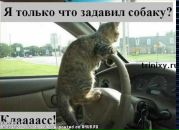 Фотография Склярова Константина