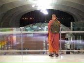 Тобі Тобі фотография #30 (источник - https://vk.com/id5284607)