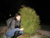 Фотография Титушиной-Скворцовой Юлии