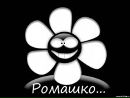 Фотография Мухаметвалеева Рамиля