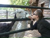 Фотография Щупак Александры