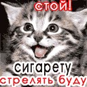 Вітя Щерба фотография #17 (источник - https://vk.com/id167742332)