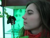 Фотография Николаевой Настасии