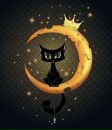 Кис-кис Кошаки™ фотография #20 (источник - https://vk.com/id133602296)