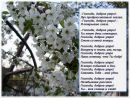 Іван Савіцький фотография #34 (источник - https://vk.com/id13547421)