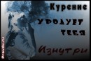 Ельвіра Михайленко фотография #50 (источник - https://vk.com/id44968345)