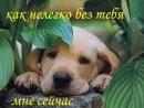 Іванка Шак фотография #20 (источник - https://vk.com/id104318884)