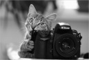 Фотография Кривулько Павла