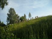 Анатолій Шнайдер фотография #39 (источник - https://vk.com/id31266741)