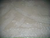 Фотография Пехо Максима