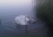 Фотография Елисеевой Кристины