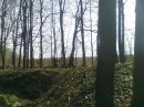 Сергій Сухомлінов фотография #9 (источник - https://vk.com/id60436992)