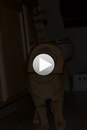 Віталік Федоришин фотография #29 (источник - https://vk.com/id151593242)