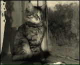 Фотография Спис Елены