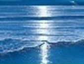 Игорь Майер фотография #24 (источник - https://vk.com/id3020795)