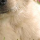 Василина Ходовіцька фотография #33 (источник - https://vk.com/id61334995)