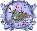 Оля Дмитрів фотография #47 (источник - https://vk.com/id168902041)