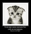 Фотография Владимировны Юлии